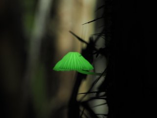 266858850 