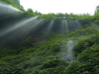 Terjunwall