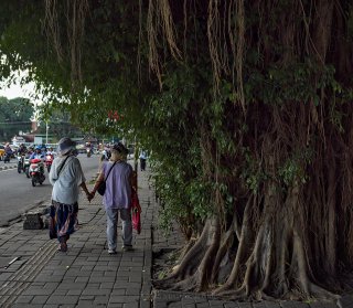 Treewalk