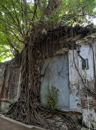 Treewall