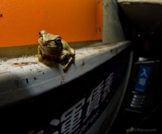 Train hopper